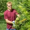 Sun Joe 48V iON 24 In Cordless Hedge Trimmer w/1 In Diameter Cutting Capacity-Tool Only 24V-X2-24HT-CT - alternate 3